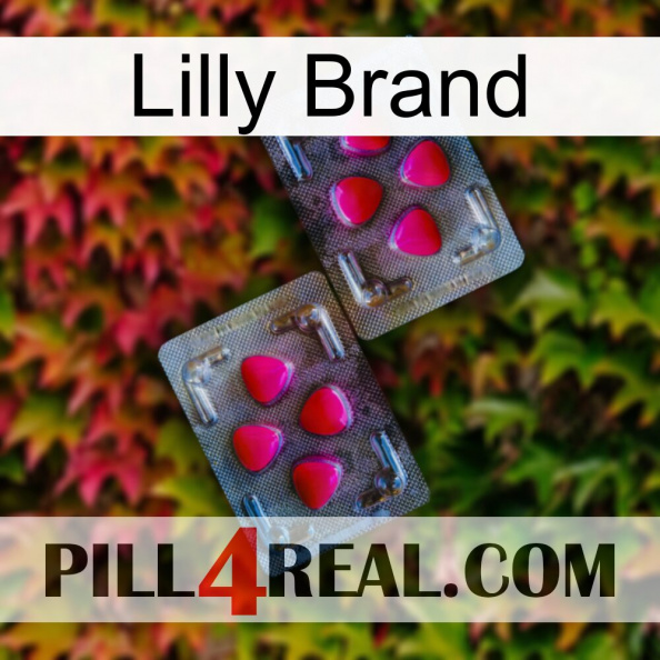 Lilly Brand 15.jpg